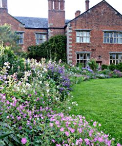 Caan Group 10 Ideas to Steal from English Cottage Gardens